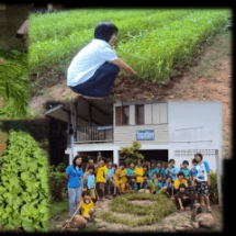 การปลูกพืชไม่ใช้ดิน